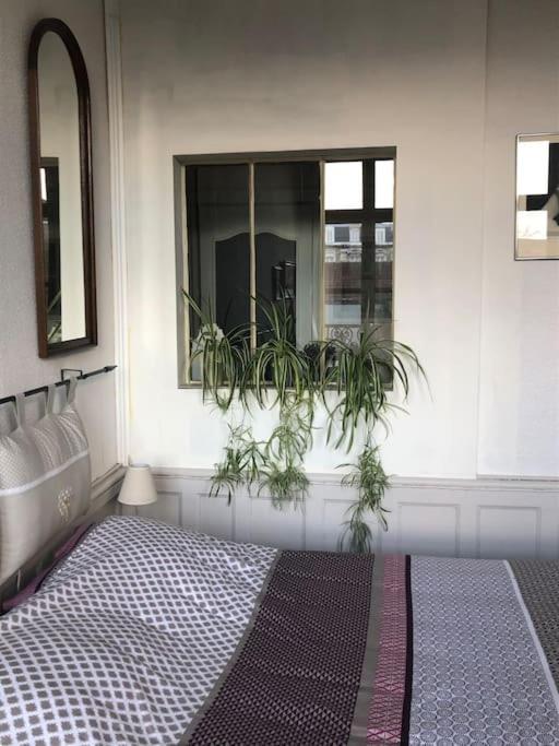 L'Omerade: Appartement De Charme Dans Une Maison Audomaroise سانت-أومير المظهر الخارجي الصورة